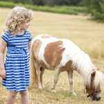 ENFANT TERRIBLE Kleid mit Pferdeapplikation